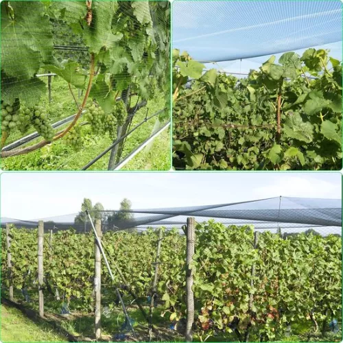 merkloos Bird Protection Net - Fine Mesh Garden Net Suitable for Fruit Trees - 1 Piece - Black - 6 mx 10 m (9507248584824)