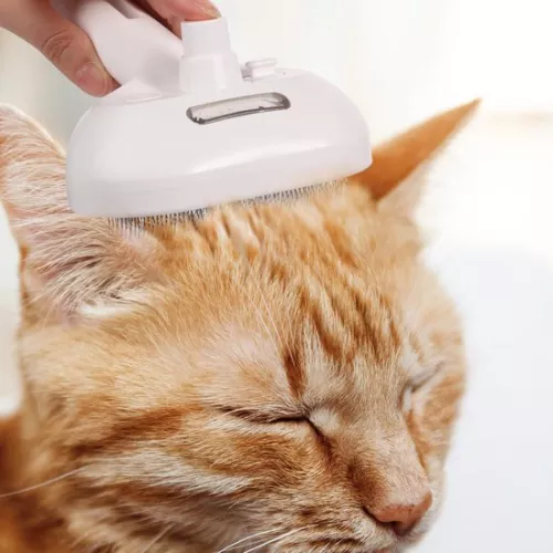 Cat Steam Brush - 3 in 1 - Long & Short Hair - Cat Steam Brush - Steam Brush For Cat - Steam Brush Cat - Steamy Brush Cat