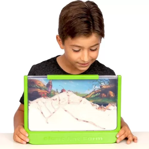 merkloos Ant Farm - Ant Nest - Ant House - Ant Hotel - Ant Colony - Premium (6152520176162)