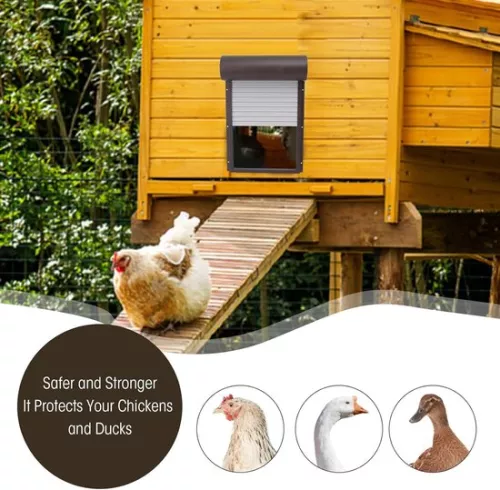 merkloos Automatic Chicken Coop Door Opener with Light Detection and Remote Control - 3-in-1 Solution for Breeding Businesses (8785293916147)