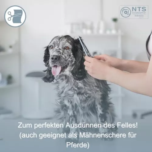 merkloos Dog scissors/coat scissors - Stainless steel matt satin finish • Fell modelling scissors (teeth on one side) thinning scissors (teeth on both sides) (60-30ZE = 15 cm 30 teeth on one side) (6151833257216)