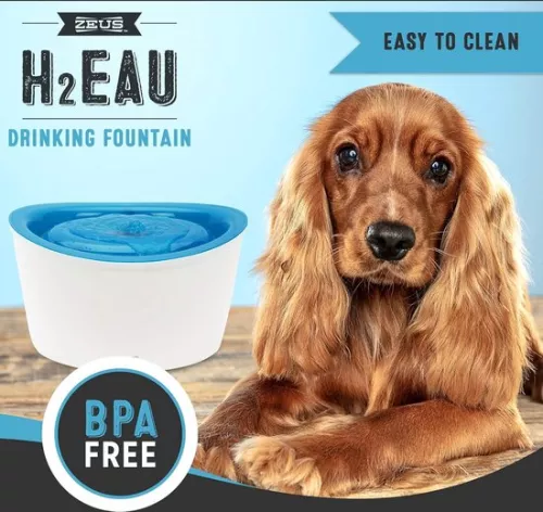 merkloos Zeus water fountain for dogs - 6 liters (6152913017003)