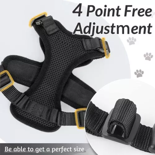 Cat Harness With Leash - Cat Harness With Lead - Cat Harness Black Size XS Cat & Kitten - Adjustable - Reflective - Animal Cat Leash - Cat Leash - Kitten Harness - Cat Leash - Neck Circumference 21.25 To 27.5cm - Chest Circumference 35 To 40cm