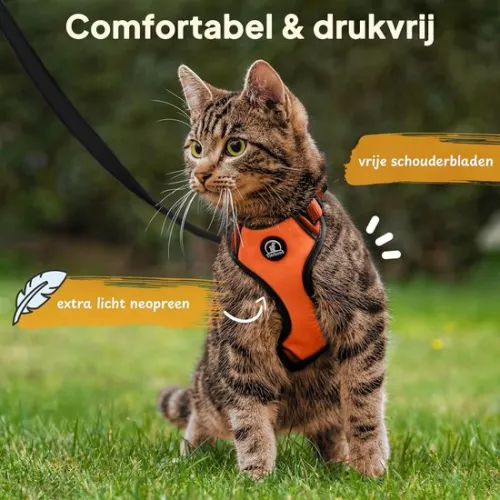 merkloos Cat Harness with Leash - Orange S (22-27 cm) (31-41 cm) - for small cats Cat harness with leash (9507361569845)