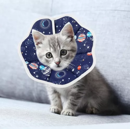 merkloos Cat Collar - Cat Collar - Cat Collar - Cat Protection Collar - Cat Collar Operation (6151001489487)