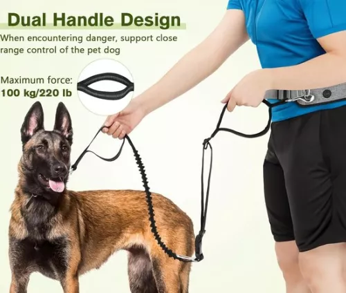 Mrs. Jones Mrs. Jones Hands-Free Dog Leash with Pouch - Fanny Pack for Walking, Jogging, Cycling, Running - Up to 220 lbs. (8721254397013)