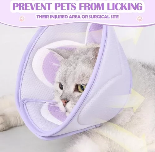 unbranded Cat Collar - Cat Collar - Cat Collar - Cat Protection Collar - Cat Collar Operation (6152511032040)