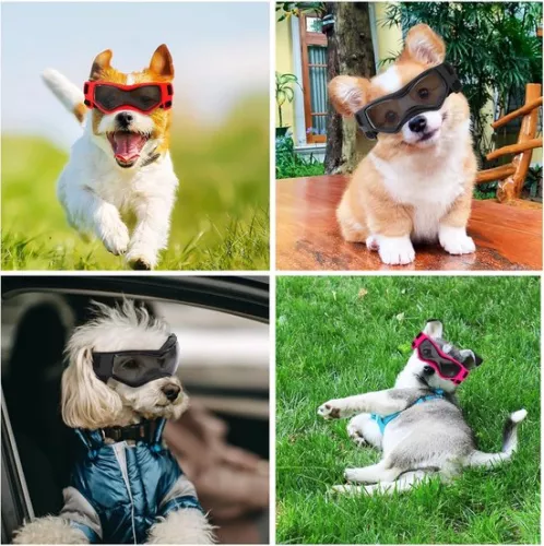 merkloos Dog Eye Protection Glasses, Dog Sunglasses, Easy to Put On, Stylish Glasses for Small/Medium Dogs，S，Black (8410900044684)