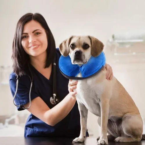 merkloos Inflatable Protective Collar - XL - Animal Protective Collar - for Dogs/Cats - for Wound Healing - Adjustable - Prevents Infection from Scratches and Bites (9193396601904)