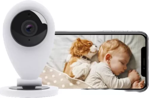 Dog Camera - Petcam - Dog Camera with App - Pet Camera - Dog Camera